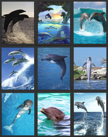 Sims 3 — Dolphin Collection-Tall  by lzoulek — Various tall pictures of dolphins. I also have wide pictures listed as