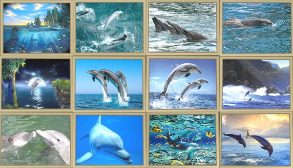 Sims 3 — Dolphin Collection-Wide by lzoulek — This is a collection of Dolphin pictures. these pictures are wide, I also