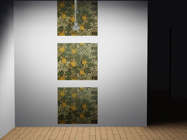 Sims 3 — Grapevine on the wall by twisteer332 — 