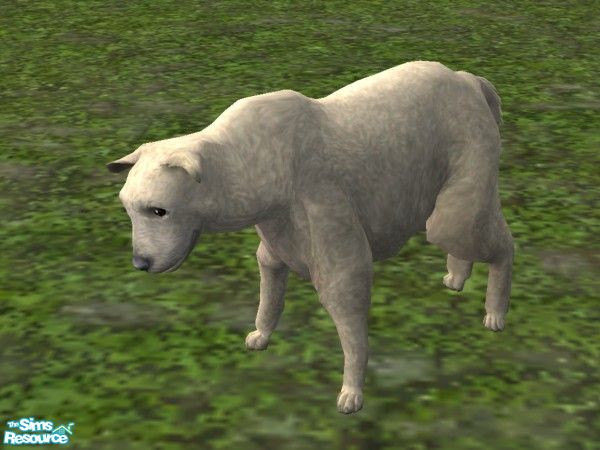 Sims 2 — Sheep by TabbyDragon — This sheep will wander around your yard aimlessly, until it runs into a tree.