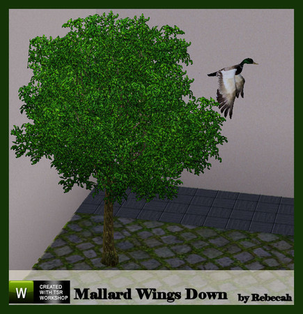 Sims 3 — Mallard Wings Down by rebecah — Found under Deco/Sculptures for $125.
