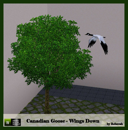Sims 3 — Canadian Goose Wings Down by rebecah — Found under Deco/Sculptures for $125.