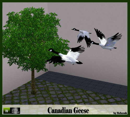 Sims 3 — Canadian Geese by rebecah — Found under Deco/Sculptures for $125.