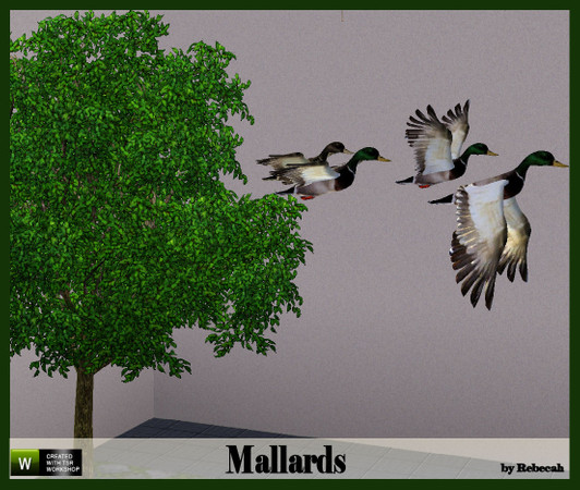 Sims 3 — Mallards by rebecah — A set of Mallards found under Deco/Sculptures for $125. 