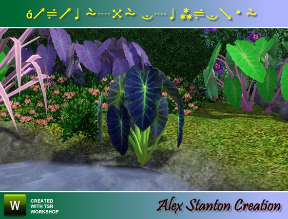 Sims 3 — Colocasia esculenta (0,8m) by alex_stanton1983 — The Taro is a plant of wet or swampy ground, making big