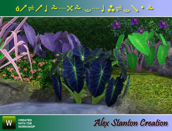 Sims 3 — Colocasia esculenta (0,8x1m) by alex_stanton1983 — The Taro is a plant of wet or swampy ground, making big