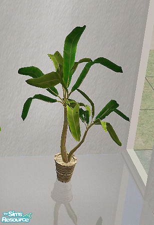 Sims 2 — lagrotta - plant by steffor — 