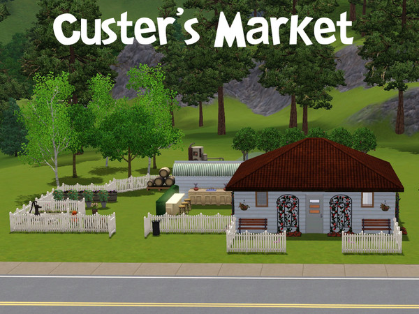 Sims 3 — Custer's Market by frisbud — Part of my Sims1 conversion series. Custer's Market was an Old Town community lot