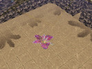Sims 3 — Lily Pool Mosaic by Deathfaith2 — This is a beautiful pool mosaic of a pink lily to make your pool more