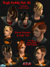 Sims 2 — Argyle Goolsby Hair - Streaked Set by 71robert13 — Modeled after Argyle Goolsby\'s (from BlitzKid) hair style,