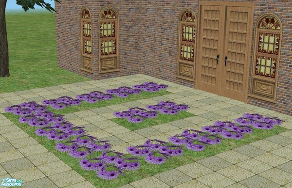 Sims 2 — Garden Center African Dasies by TheNinthWave — Build mode garden center African daises.