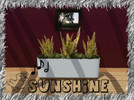 Sims 3 — Sunshine by duckeggpie — Sunshine through a tree in my garden, Norfolk, UK. This was made using a photo taken by