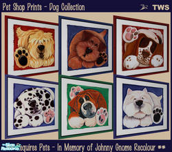 Sims 2 — Pet Shop Prints - Dog Collection by wildstar24 — Six dog prints in fun and colourful styles. Bright backgrounds