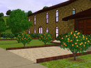 Sims 3 — villa 001 by jefman56 —  fully furnished villa, with 3 bedrooms and 2 bathrooms. + pool 