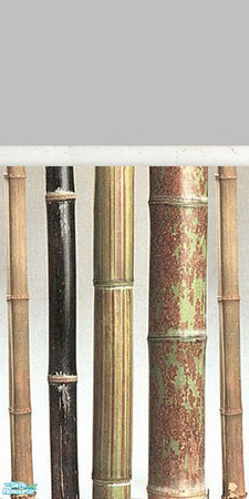 Sims 2 — Bamboo Paper by tdyannd — One of Four walls included within my Borderline Borders Set.