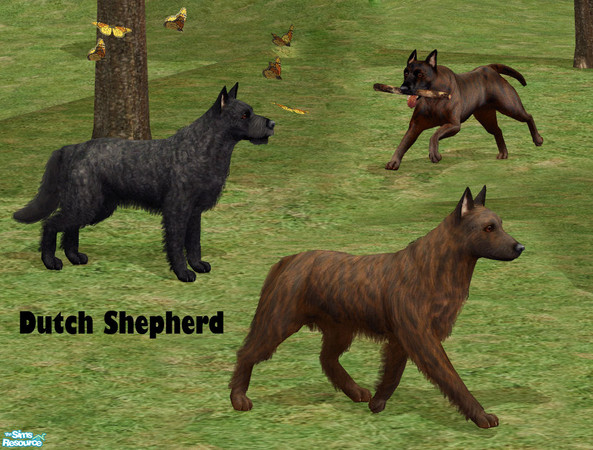 Sims 2 — Dutch Shepherd Dog by dj_une — This set includes the Dutch Shepherd Dog\'s three coat varieties: Rough, long and