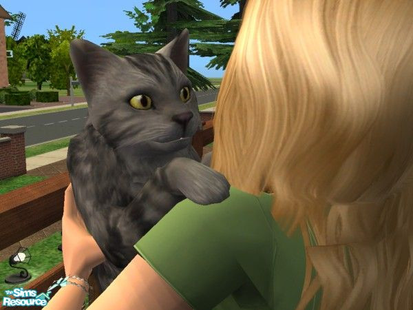 Sims 2 — Mouse by maryjane2991 —  R.I.P Oct. \'04 to Jan. 12, 2008 I\'ll miss ya Mouse