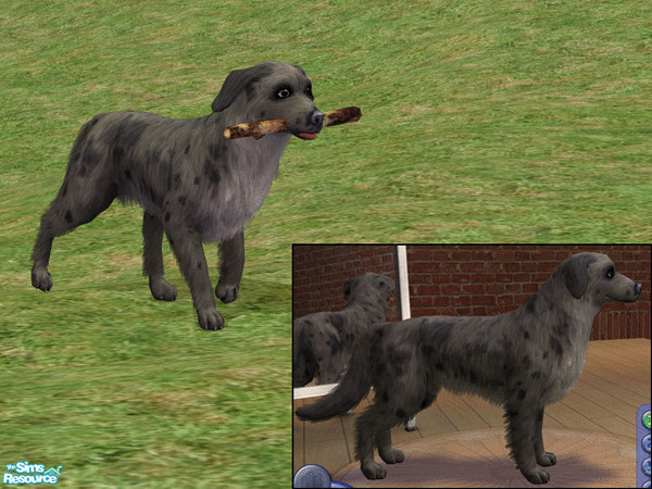 Sims 2 —  by dj_une — 