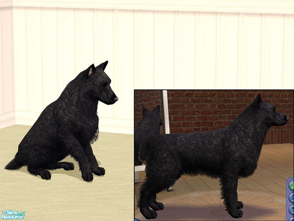 Sims 2 — Mudi by dj_une — Hungarian herding breed.