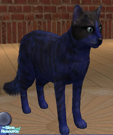 Sims 2 — Midnight by lizholsimer — A beautiful blue and black cat.