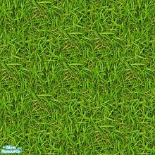 Sims 2 — Natural Garden - Green Grass by allison731 — Nice green grass.Enjoy.
