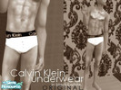 Sims 2 — Original Calvin Klein Underwear for Men by saffronday. — Original Calvin Klein Underwear for men. Your male