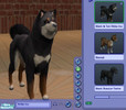Sims 2 — Black & Tan Shiba Inu by balletbabe2 — This is a more realistic looking Shiba Inu than the one provided in