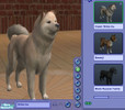 Sims 2 — Cream Shiba Inu by balletbabe2 — This is a more realistic looking Shiba Inu than the one provided in the Pets