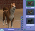 Sims 2 — Red Shiba Inu by balletbabe2 — This is a more realistic looking Shiba Inu than the one provided in the Pets