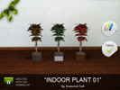 Sims 3 — Indoor Plant - Ficus by essential_rob2 — This is an indoor plant to decorate any homes or public building.