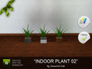 Sims 3 — Indoor Plant - Spiky by essential_rob2 — This is an indoor plant to decorate any homes or public building.