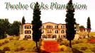 Sims 3 — Twelve Oaks Plantation by 123valy2 — It's a plantation with a Greek revival white mansion 