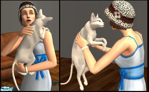 Sims 2 — Sphynx by macanderson — The Sphynx (also known as Canadian Hairless ) is a rare breed of cat known for its lack
