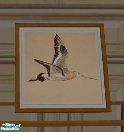 Sims 2 — PB Entry Recolor Honey - Painting on Surfaces Frame Honey by ShinoKCR — 