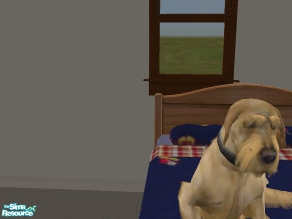 Sims 2 — Ralph by hacc2258 — Fun family Dog here looking for a place to live.