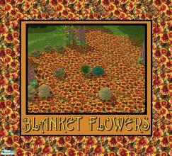 Sims 2 — Floral Rhapsody - Blanket Flowers by allison731 — Terrain paint with blanket flowers. This ground has a vivid