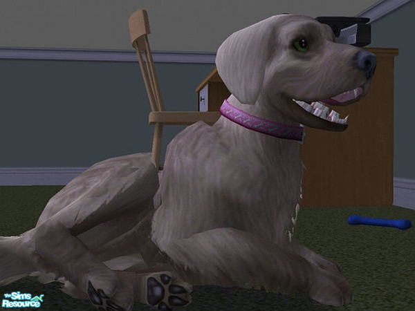 Sims 2 — Bitsy by LaurieR — She is a sweet dog. Loves to have her belly rubbed.