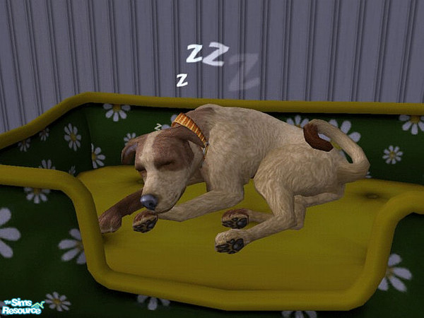 Sims 2 — Millie by LaurieR — She loves to play! Make time for playtime and she will be happy.