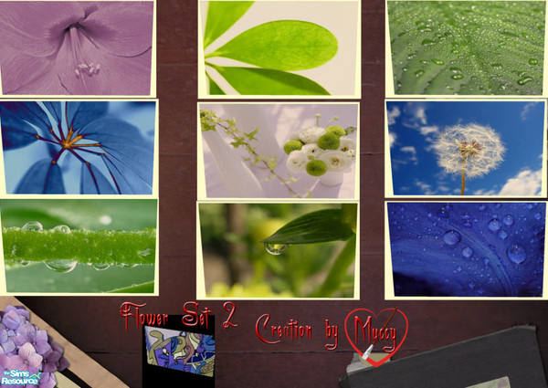 Sims 2 — Picture-Set Flower 2 by Muccy — Suitable for Valentine\'s Day this time, there are flowers in all variations.