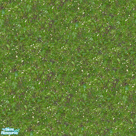 Sims 2 — Groundworks - Daisies by hatshepsut — Realistic seamless ground cover