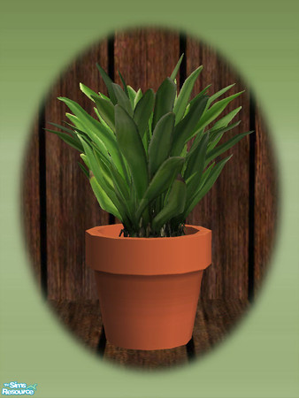 Sims 2 — Garden Shed Spider Lily - Mesh by Shakeshaft — Part of a new mesh set to create a Garden Potting Shed for your