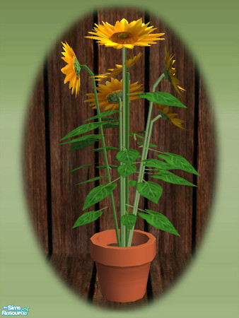 Sims 2 — Garden Shed Sunflower - Mesh by Shakeshaft — Part of a new mesh set to create a Garden Potting Shed for your