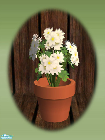 Sims 2 — Garden Shed Daisies - Mesh by Shakeshaft — Part of a new mesh set to create a Garden Potting Shed for your Sims,