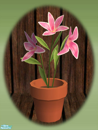 Sims 2 — Garden Shed Small Flower - Mesh by Shakeshaft — Part of a new mesh set to create a Garden Potting Shed for your