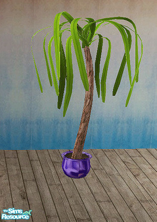 Sims 2 — Journal - plant by steffor — 