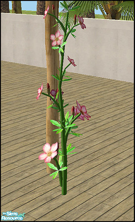 Sims 2 — Corazon - adenium plant by steffor — 