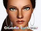 Sims 3 — Ousadia Eyebrows by julianafraga29 — - Male/Female - Toddler to Elder - HQ mod Used in pictures, but this is not