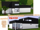 Sims 3 — Modern Starter House by oldmember_tomahauk2 — This modern home is perfect for those who want to become