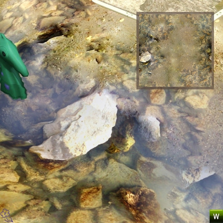 Sims 3 — Coast stones by Flovv — Coast stones terrain paint. Perfect for beaches, ponds and parks. You may use it in your