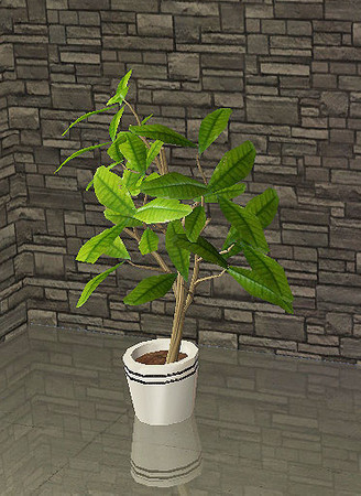 Sims 2 — TPK - vase plant by steffor — 